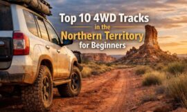 Top 10 4WD Tracks in the Northern Territory for Beginners