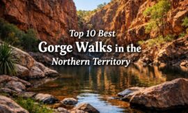 Top 10 Best Gorge Walks in the Northern Territory