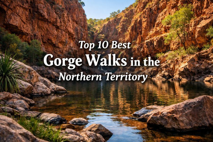 Read more about the article Top 10 Best Gorge Walks in the Northern Territory