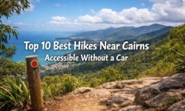 Top 10 Best Hikes Near Cairns Accessible Without a Car