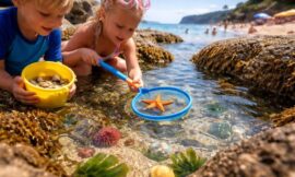 Top 10 Best Rock Pool Spots for Kids in New South Wales