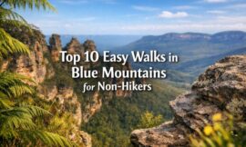 Top 10 Easy Walks in Blue Mountains for Non-Hikers