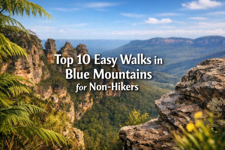 Read more about the article Top 10 Easy Walks in Blue Mountains for Non-Hikers