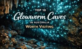 Top 10 Glowworm Caves in Australia Worth Visiting