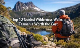 Top 10 Guided Wilderness Walks in Tasmania Worth the Cost