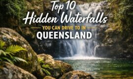 Top 10 Hidden Waterfalls You Can Drive to in Queensland