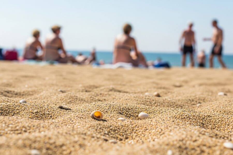 You are currently viewing Top 10 Nude Beaches in Australia (Legal & Family-Separated Guide)