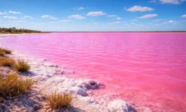 Top 10 Pink Lakes in Australia You Need to Visit