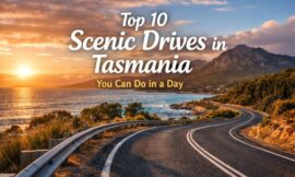 Top 10 Scenic Drives in Tasmania You Can Do in a Day
