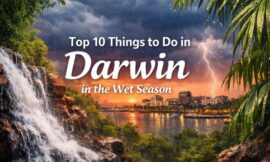 Top 10 Things to Do in Darwin in the Wet Season