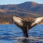 10 Best Things to Do in Australia During Winter That Most Visitors Overlook