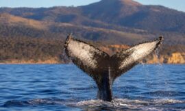 10 Best Things to Do in Australia During Winter That Most Visitors Overlook