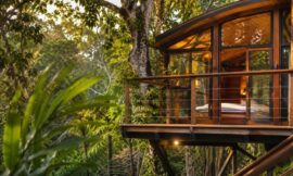 10 Most Unique Airbnb Stays in Queensland That Are Actually Worth It