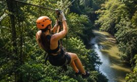 Top 10 Adventure Activities in the Daintree Rainforest