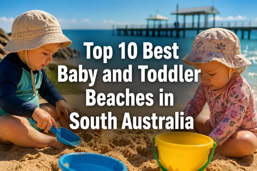 Read more about the article Top 10 Best Baby and Toddler Beaches in South Australia