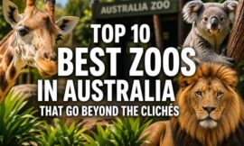 Top 10 Best Zoos in Australia That Go Beyond the Clichés