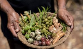 Top 10 Bush Tucker Experiences in Australia Run by Indigenous Guides