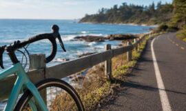 Top 10 Coastal Cycling Trails in Australia for Casual Riders