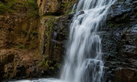 Top 10 Waterfall Hikes in Victoria You Can Do in a Day