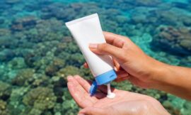 5 Best Reef-Safe Sunscreens You Must Buy Before Snorkelling the Great Barrier Reef