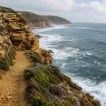 8 Best Coastal Hikes in Victoria for Jaw-Dropping Ocean Views