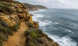 8 Best Coastal Hikes in Victoria for Jaw-Dropping Ocean Views