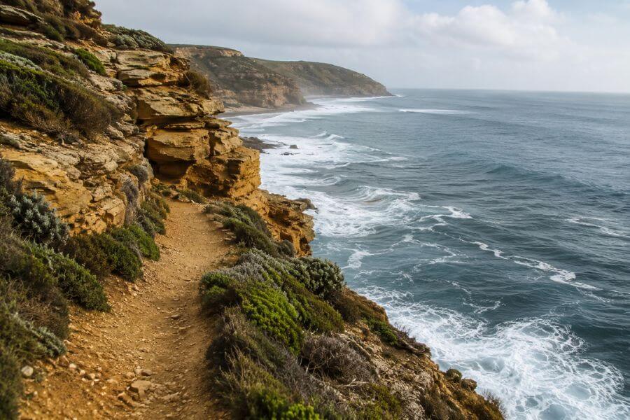 Read more about the article 8 Best Coastal Hikes in Victoria for Jaw-Dropping Ocean Views
