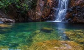 15 Best Hidden Swimming Holes in the Northern Territory for Your 2026 Itinerary