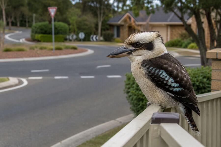 unique-quirks-australian-suburbs